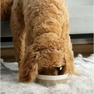 Waggo Dipper Ceramic Dog Bowl for Small and Large Breeds - Heavyweight and Durable Pet Food and Water Dish Crock, Dishwasher Safe, Modern (Vintage Grey, Large)