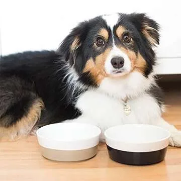 Waggo Dipper Ceramic Dog Bowl for Small and Large Breeds - Heavyweight and Durable Pet Food and Water Dish Crock, Dishwasher Safe, Modern (Vintage Grey, Large)