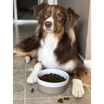 Waggo Dipper Ceramic Dog Bowl for Small and Large Breeds - Heavyweight and Durable Pet Food and Water Dish Crock, Dishwasher Safe, Modern (Vintage Grey, Large)