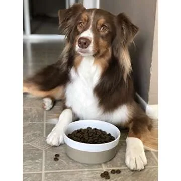 Waggo Dipper Ceramic Dog Bowl for Small and Large Breeds - Heavyweight and Durable Pet Food and Water Dish Crock, Dishwasher Safe, Modern (Vintage Grey, Large)