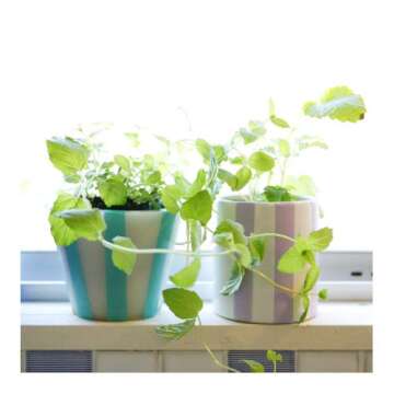 MT Solids Washi Paper Masking Tape,3/5" x 33', Silver (MT01P206)