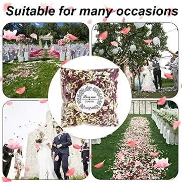 homeemoh Party Confetti Natural Dried Flower Petals, 12 Packs Biodegradable Confetti Real Rose Petal...