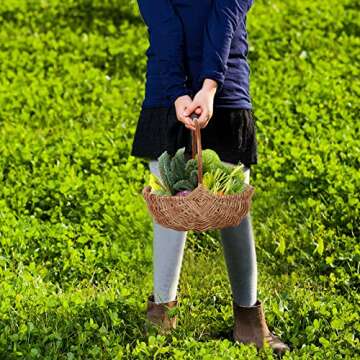 WYI Rattan Flower Basket, Handmade Wicker Planter Basket with Plastic Liner & Handle, Woven Storage Basket for Home Wedding Garden Decoration, Brown,S(445MWRMURZRG2O2814UOR)