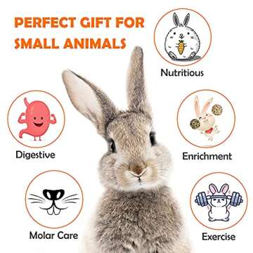 Sofier Rabbit Toys Bunny/Guinea Pig Toys Natural Timothy Hay Hamster Toys for Teeth Handmade Chews and Treats Apple Wood Sticks Chinchilla Rat