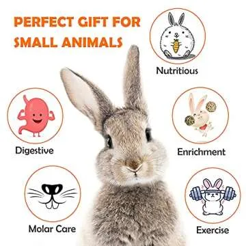 Sofier Rabbit Toys Bunny/Guinea Pig Toys Natural Timothy Hay Hamster Toys for Teeth Handmade Chews and Treats Apple Wood Sticks Chinchilla Rat