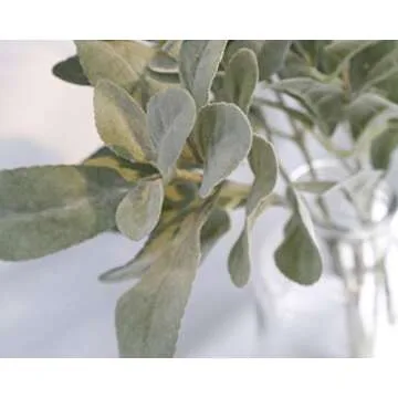 SUUKI Faux Lambs Ear Stems 5Pcs Flocked Artificial Greenery Solid Spray Fake Rabbit Ear Leaves for Home Wedding DIY Craft Floral Arrangement