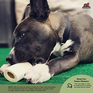 Redbarn Small Filled Dog Bones - Long Lasting Chew Treat