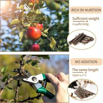 JanYoo 7Pcs Natural Rabbit Chew Toys for Healthy Teeth