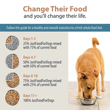 Just Food For Dogs Human Grade Dog Food - Lamb & Brown Rice