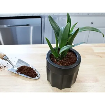 Loose Coconut Coir Mix for Home Gardening - Eco-Friendly Soil Solution