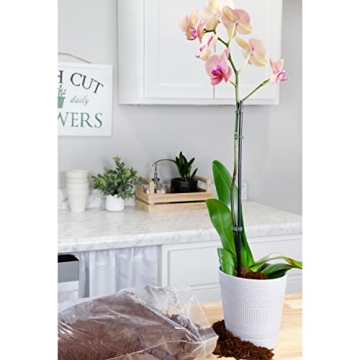 Loose Coconut Coir Mix for Home Gardening - Eco-Friendly Soil Solution