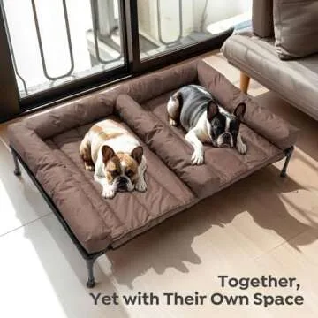 Veehoo Cooling Raised Dog Bed + Waterproof Double Dog Bed Cushion for Two Medium Dogs, Elevated Dog Bed with Removable Bolster Mat, Breathable Mesh, No-Slip Feet, 49" x 33" Dog Couch Bed, Black