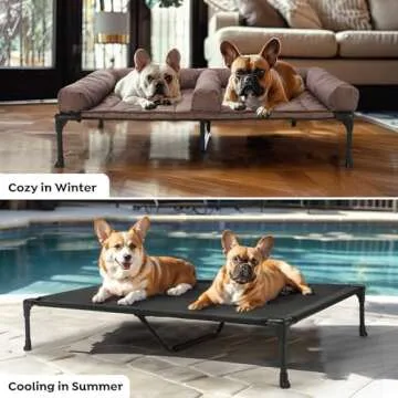 Veehoo Cooling Raised Dog Bed + Waterproof Double Dog Bed Cushion for Two Medium Dogs, Elevated Dog Bed with Removable Bolster Mat, Breathable Mesh, No-Slip Feet, 49" x 33" Dog Couch Bed, Black