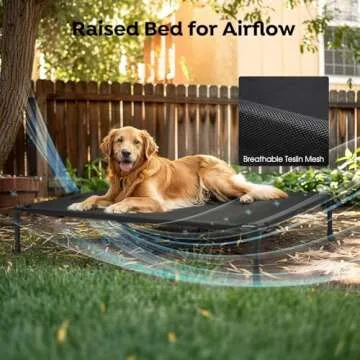 Veehoo Cooling Raised Dog Bed + Waterproof Double Dog Bed Cushion for Two Medium Dogs, Elevated Dog Bed with Removable Bolster Mat, Breathable Mesh, No-Slip Feet, 49" x 33" Dog Couch Bed, Black