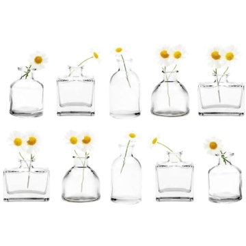 CHIVE ‘Loft’ Small Mini Flower Vases - Clear Glass Bud Vases, Set of 10 - Vintage Rustic Centerp...