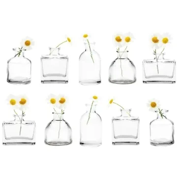 CHIVE ‘Loft’ Small Mini Flower Vases - Clear Glass Bud Vases, Set of 10 - Vintage Rustic Centerp...