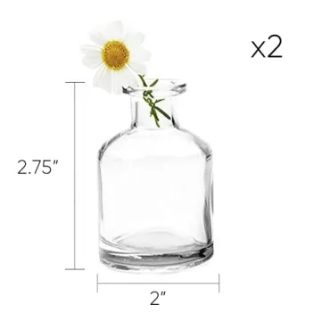 Elegant CHIVE Loft Mini Flower Vases Set of 10 for All Occasions