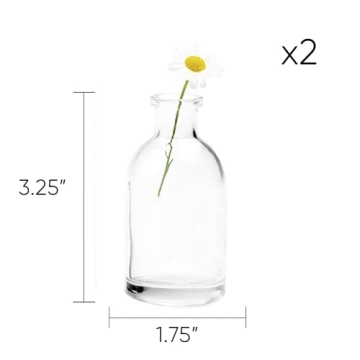 Elegant CHIVE Loft Mini Flower Vases Set of 10 for All Occasions