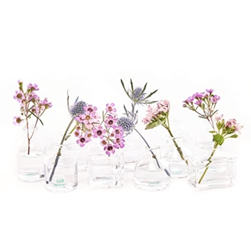 Elegant CHIVE Loft Mini Flower Vases Set of 10 for All Occasions