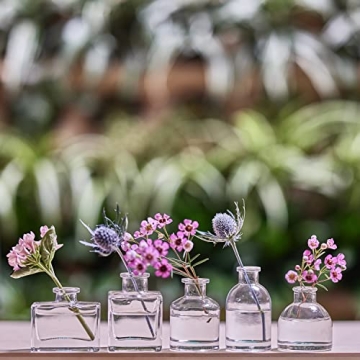 Elegant CHIVE Loft Mini Flower Vases Set of 10 for All Occasions