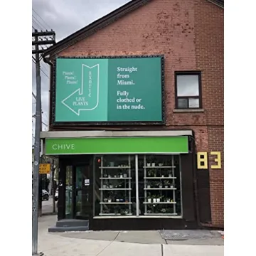 Elegant CHIVE Loft Mini Flower Vases Set of 10 for All Occasions