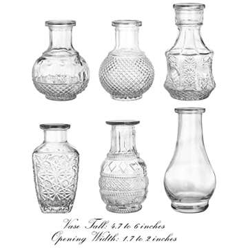 ZENFUN 6 Pack Glass Bud Vase, 6 Unique Vintage Styles Mini Table Flower Vases Decorative Clear Vases for Centerpieces, Home Decor, Events, Living Room