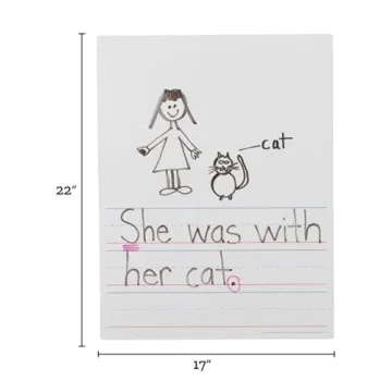Jumbo Dry Erase Magnetic Draw and Write Page - 17" x 22"