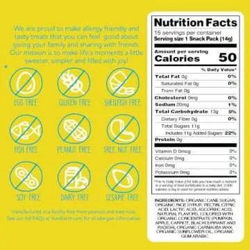 YumEarth Organic Jelly Beans - Fruity Candy Snack Packs, Gluten Free Snacks for Kids - Allergy Friendly, Non-GMO, No Artificial Flavors or Dyes - Assorted Flavors, 7.5 oz. (Pack of 15)