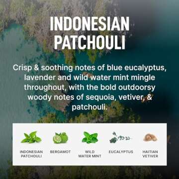 Laundry Sauce Bundle - Luxury Essentials for Your Laundry