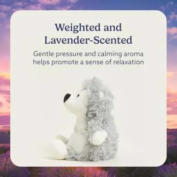 Warmies Junior Hedgehog - Microwavable Weighted Plush Toy