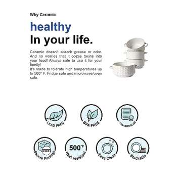 LE TAUCI 20 oz Soup Bowls, Oven Safe Ceramic Crocks