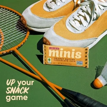 Healthy Larabar Peanut Butter Chocolate Bars, 20 Pack