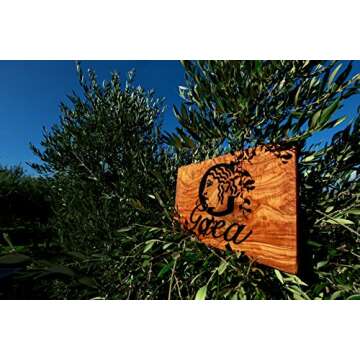 Gaea Snack Pack Pitted Green Olives with Oregano and Lemon Juice - 1 oz (Pack of 10) …