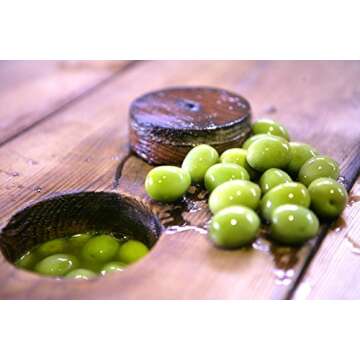 Gaea Snack Pack Pitted Green Olives with Oregano and Lemon Juice - 1 oz (Pack of 10) …