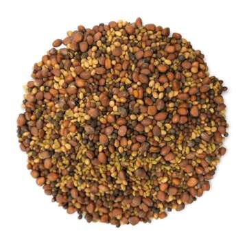 Food to Live - Salad Mix of Sprouting Seeds, 1 Pound Broccoli, Clover, Radish, Alfalfa, Kosher, Raw, Vegan