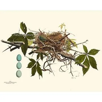 Vintage Antique Bird Nest Eggs Prints Wall Art Set of 9 Outdoor Forest Nature Rustic Farmhouse Cotta...