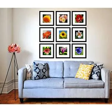 pojah 12x12 Black Picture Frame Set of 9,Square Photo Frame with Mat Display Pictures 8x8 or 12x12 Without Mat,PVC Glass,for Wall Home Office Décor（12x12,9pk,Black）