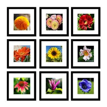 pojah 12x12 Black Picture Frame Set of 9,Square Photo Frame with Mat Display Pictures 8x8 or 12x12 Without Mat,PVC Glass,for Wall Home Office Décor（12x12,9pk,Black）