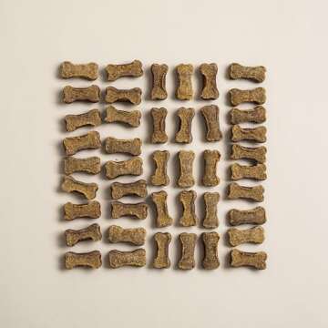 Polkadog Lucky Duck Bone-Shaped Dog Treats, Cat Snacks – All-Natural Pet Treats for Kittens, Puppies – Bite-Sized, Crunchy Snack for Dogs, Cats – 2 Ingredients – 7oz