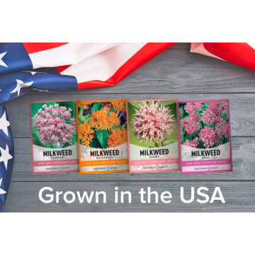 Milkweed Seeds for Monarch Butterflies - 4 Varieties