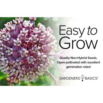 Milkweed Seeds for Monarch Butterflies - 4 Varieties