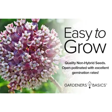 Milkweed Seeds for Monarch Butterflies - 4 Varieties