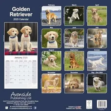 Golden Retriever Calendar 2025 - Beautiful Wall Calendar for Dog Lovers