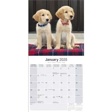 Golden Retriever Calendar 2025 | 16 Month Wall Calendar