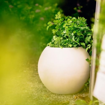 Stylish Ash & Ember 24" D Planter - Indoor/Outdoor Decor