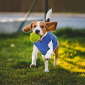 4 Piece Fleece Dog Sweater Warm Jacket for Small Pets