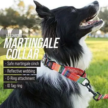 Leash Boss Martingale Collar for Safe, Stylish Dog Training