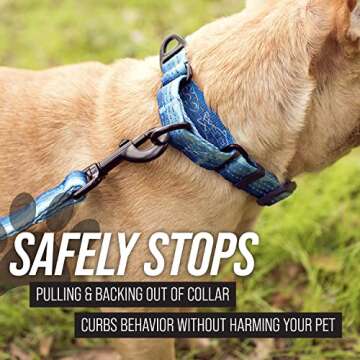 Leash Boss Martingale Collar for Safe, Stylish Dog Training