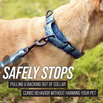 Leash Boss Martingale Collar for Safe, Stylish Dog Training