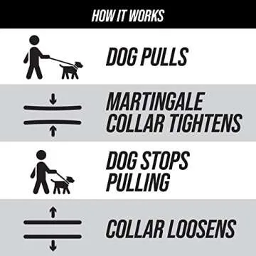 Leash Boss Martingale Collar for Safe, Stylish Dog Training